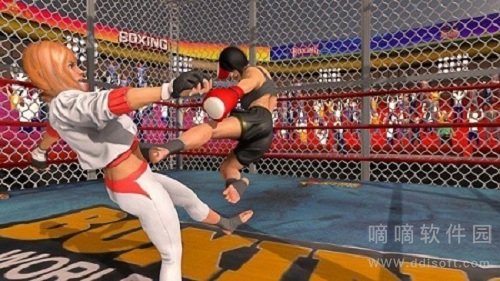 拳击拳手