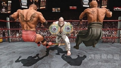 拳击拳手