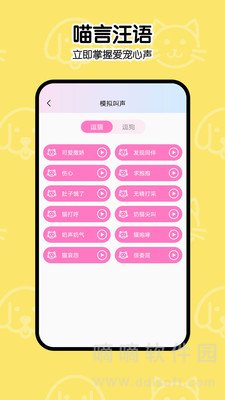 一起学猫叫