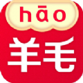 秀购羊毛版