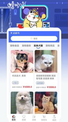 噜哆哆宠物截图