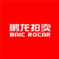 鹏龙拍卖