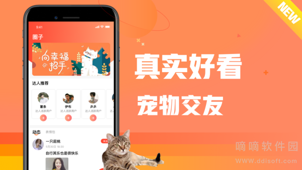 坏猫