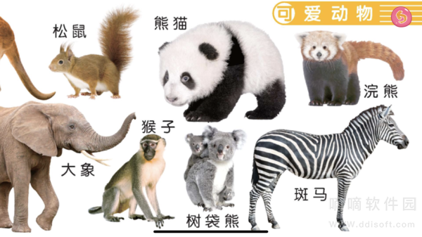 萌萌魔法动物园