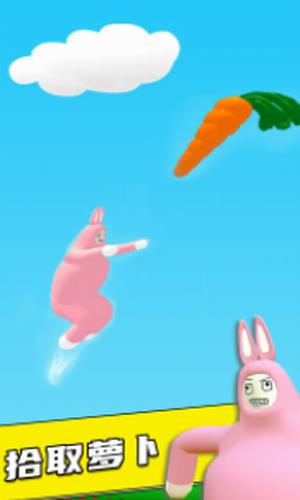 疯狂兔子人