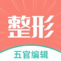 整形模拟