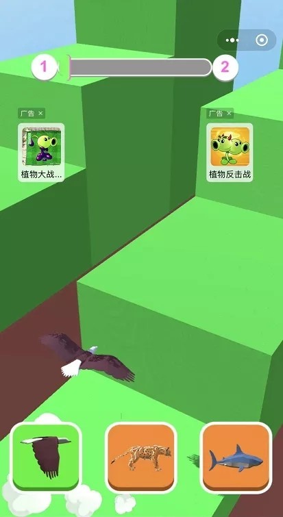 动物切克闹