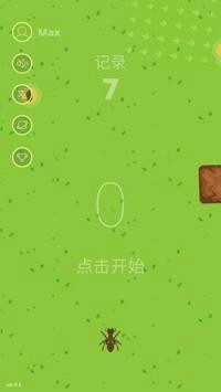 口袋蚁群