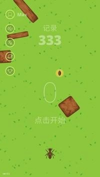 口袋蚁群