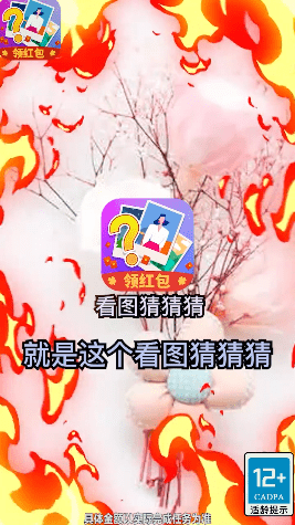 看图猜猜猜