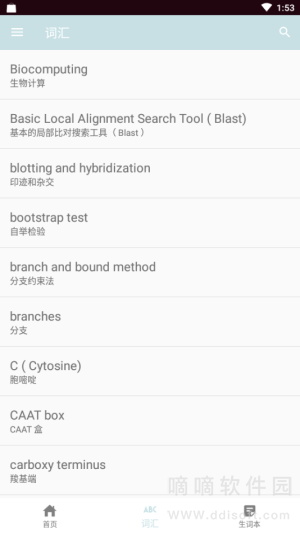 浪潮英语单词