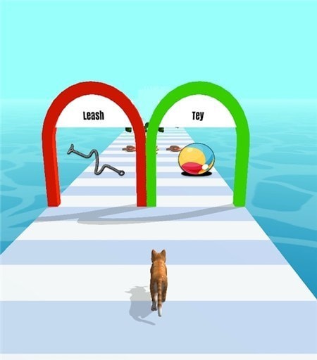 宠物赛跑3D