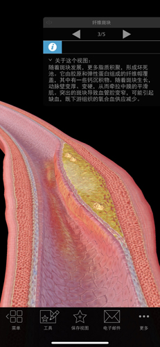 生理和病理学