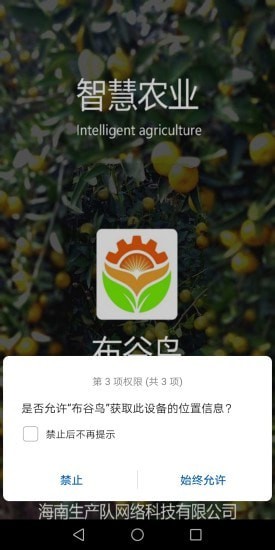 生产队布谷鸟