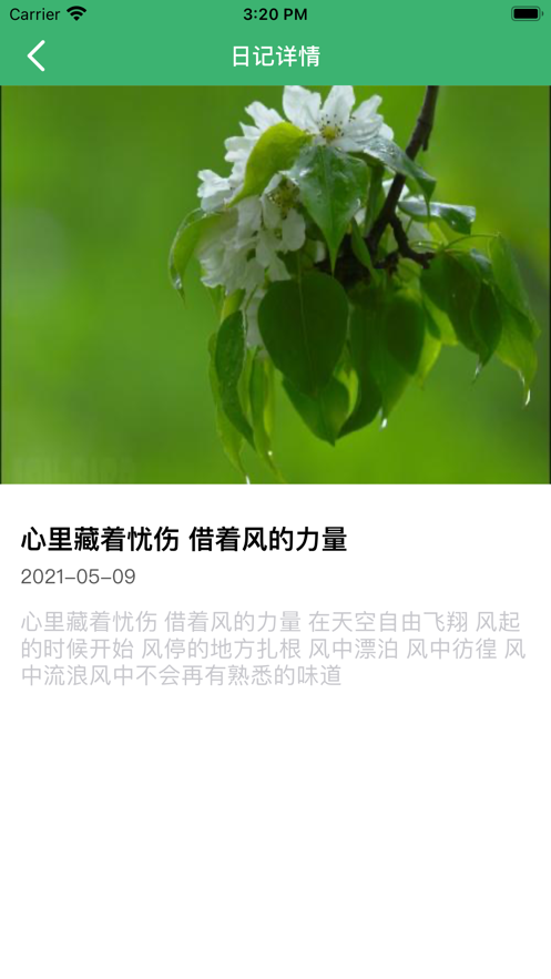 悠悠日记