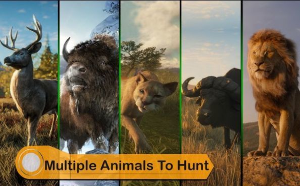 野生动物狩猎模拟