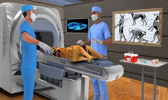 宠物医院模拟器