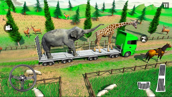 动物运输卡车越野