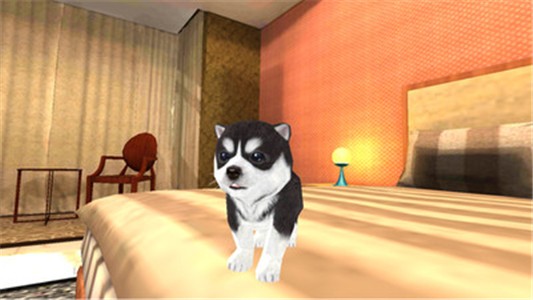 小狗模拟3D