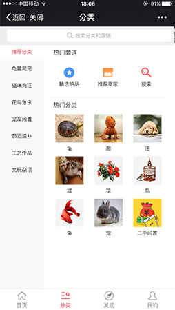 拍宠