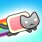 有弹性的猫