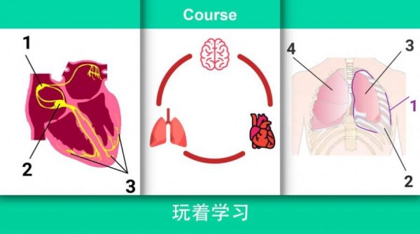 现实医疗模拟器